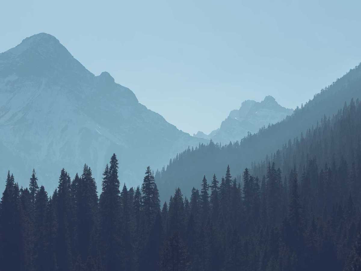 La Resiliencia y la&nbsp;Perseverancia